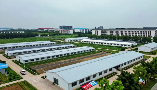 如何为学生选择适合的升学规划方案
